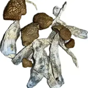 Malabar Mushrooms