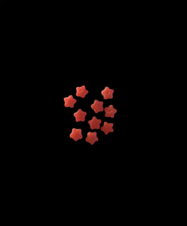 Microdose LSD - 20 x 10mcg - by "MikrosRX" - Image 3
