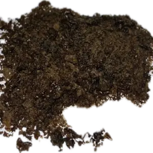 Psilocybin Extract - Raw