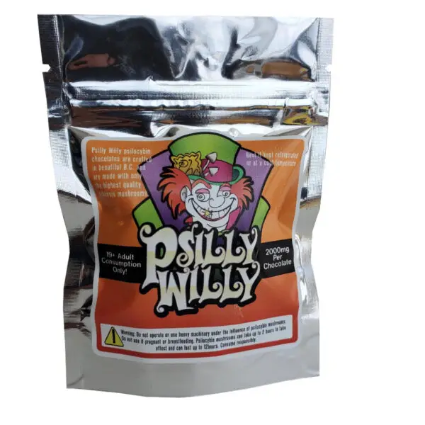 Magic Mushroom Chocolates - 2g - Psilly Willy