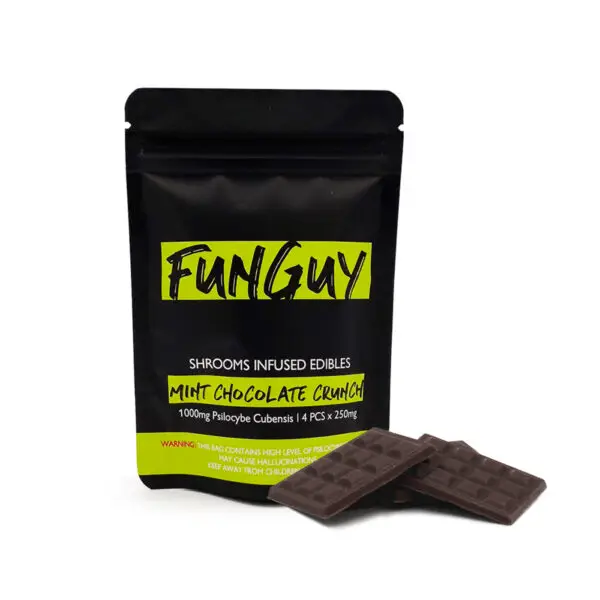 Magic Mushroom Mint Chocolate Crunch - 1000mg - Funguy