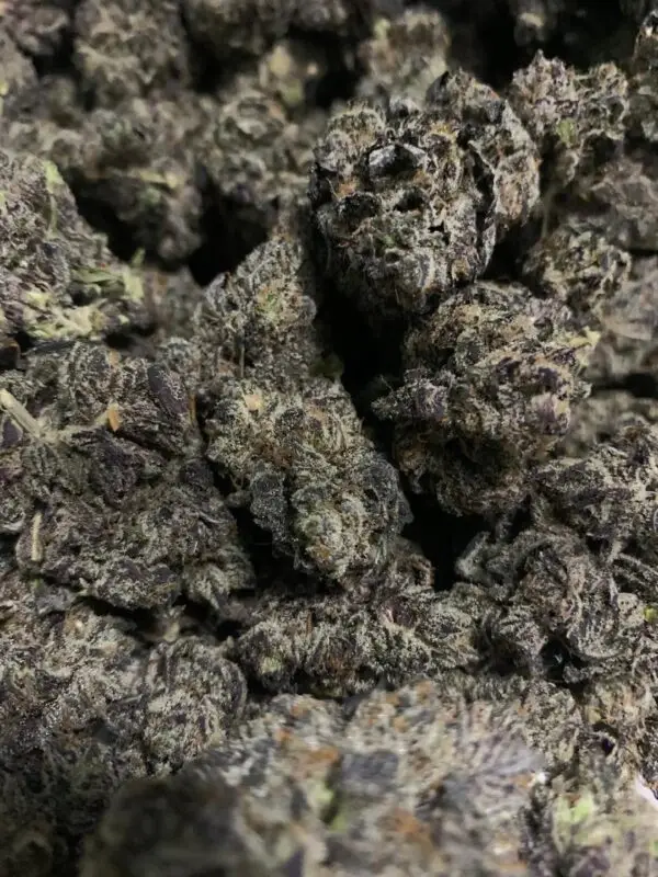 White Truffle - Quad Exotic Hybrid