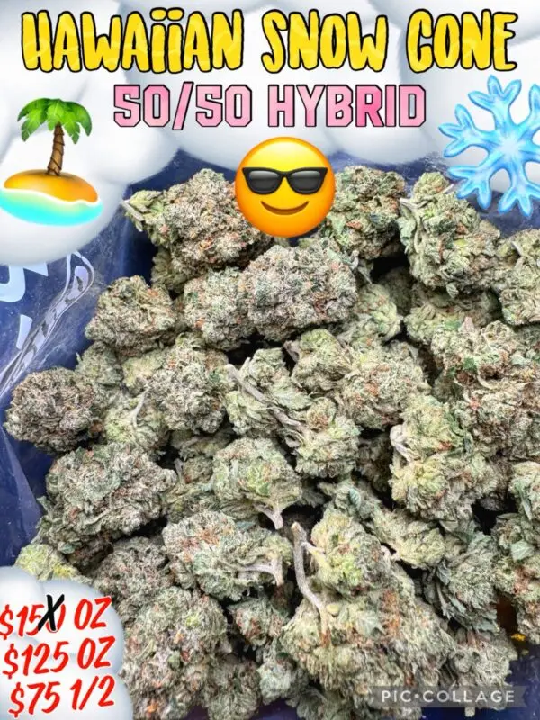 Hawaiian Snow Cone - Hybrid