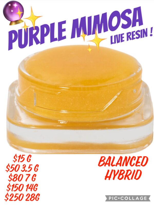 Purple Mimosa - Live Resin!