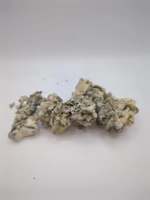 Hydra Enigma Magic Mushrooms - Image 3