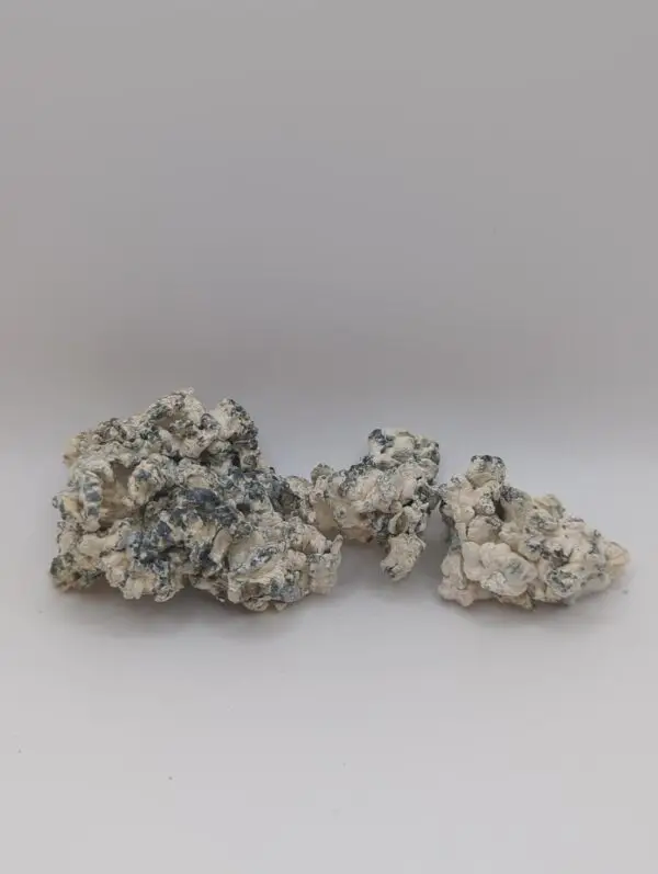 Omni Enigma Magic Mushrooms - Image 3