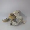 Maria Scbina Magic Mushrooms - Image 2