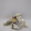 Maria Scbina Magic Mushrooms - Image 3